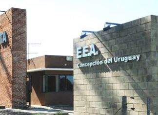 Trabajadores del ProHuerta, en asamblea general y contra los despidos en el INTA