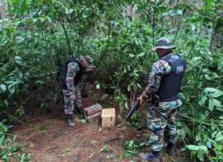 Secuestraron más de 40 kilos de marihuana valuados en 100 millones de pesos