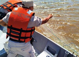 Protección de los recursos pesqueros: secuestraron especies y artes de pesca