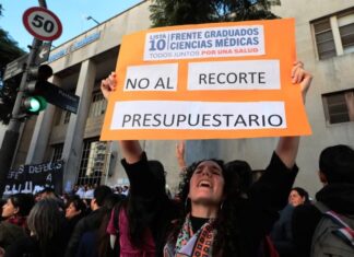 Variables y lecturas de la Marcha Universitaria en el escenario político nacional y provincial