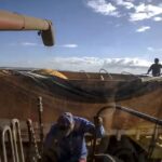 11 Exportaciones agro