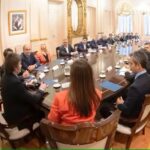 11 Milei gobernadores