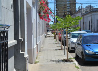 Plantarán 50 árboles en Concepción del Uruguay