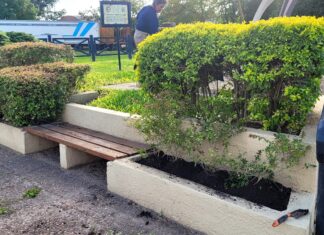 Caseros: Trabajan en el acondicionamiento de espacios verdes