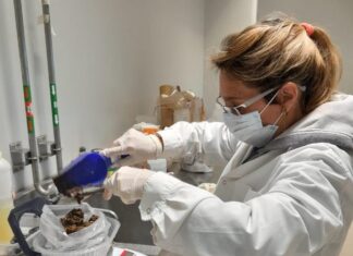 La jornada de Cama de Pollo, como punta de lanza para más encuentros