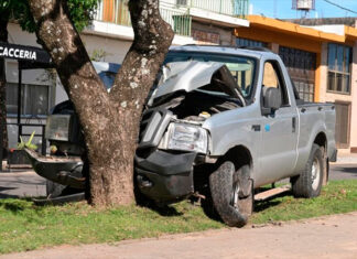 Gualeguaychú: una camioneta chocó un árbol tras subir a un cantero central