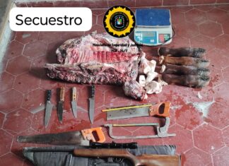 Abigeato en Gualeguaychú: cinco allanamientos y una nueva detención