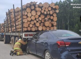 Autovía Artigas: auto chocó contra el acoplado de un camión cargado de troncos