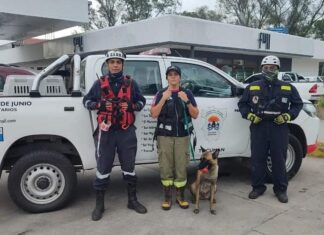 Rescate de personas: Resaltan la labor de binomio canino de Bomberos