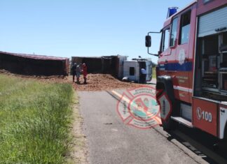Autovía Artigas: un camión volcó su carga y generó caos vial en el KM 133