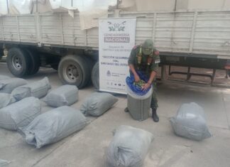 Decomisaron un importante cargamento de hojas de coca