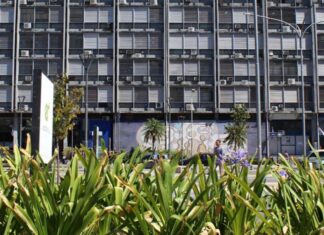 Se actualiza la carga de documentación de Asignaciones Familiares