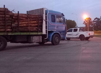 Cruce de rutas 14 y 130: camión cargado con troncos chocó con una camioneta
