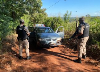 Decomisaron un importangte cargamento de marihuana