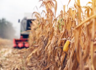 La Federación Agraria advierte por el deterioro de los números del sector productivo