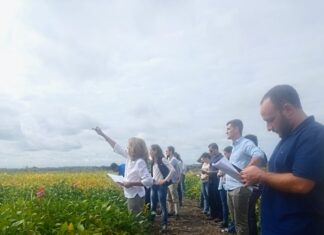Norma Arias destacó el intercambio durante la Jornada a Campo de Soja y Sorgo Granífero