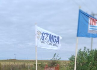 INTA: La Asociación Cooperadora distinguió al doctor Alberto Lívore