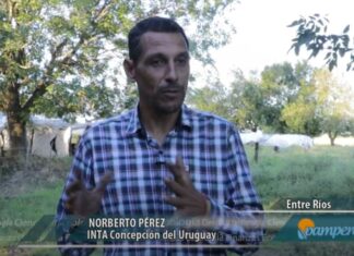 Sembrando Futuro: Prácticas sustentables para bajar costos