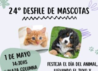 Bumpi abrió la inscripción para el Desfile de Mascotas 2024
