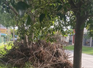 La Calle en tu Barrio: Reiteran reclamo por minibasural