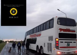 Detuvieron a una persona que transportaba marihuana en un colectivo
