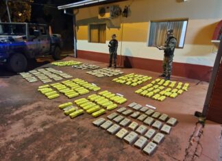 Secuestraron un cargamento millonario de marihuana