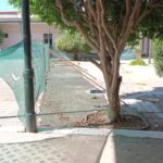 p3 escuela normal3