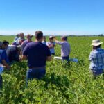 pagina 6 Con la mirada puesta en optimizar la producción agropecuaria
