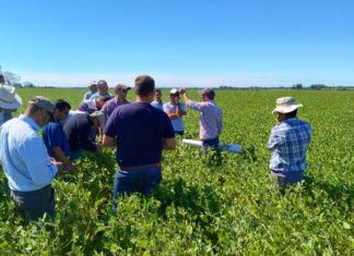 Jornada de Manejo de Plaga en Soja: en busca de optimizar la producción agropecuaria