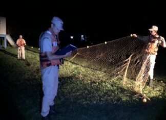 Protección de los recursos pesqueros en el Litoral: secuestraron especies y artes de pesca