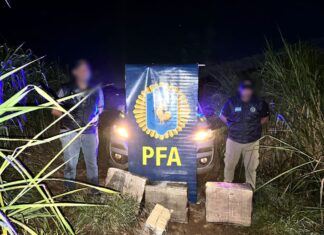 No hubo detenidos: secuestraron cien kilos de marihuana en Misiones
