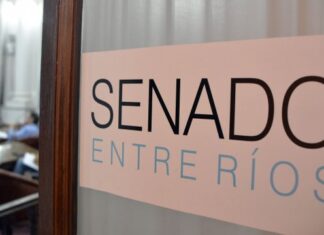 El Senado debate el proyecto que prohíbe las designaciones en el Estado en el último año de gestión