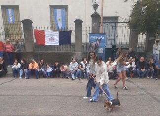 Las mascotas fueron las protagonistas de un gran desfile
