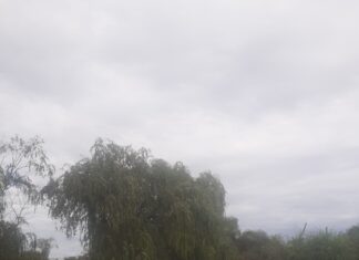 Frente a nuestras costas, sube el nivel del río Uruguay