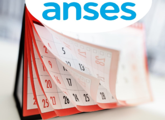 Anses reanudará este lunes 20 el calendario de pagos