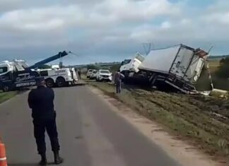 Volcó un camión que transportaba pollos sobre Ruta Provincial 39