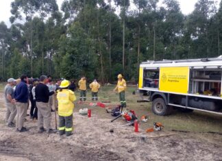 Ambiente dictó un nuevo taller sobre prevención de incendios
