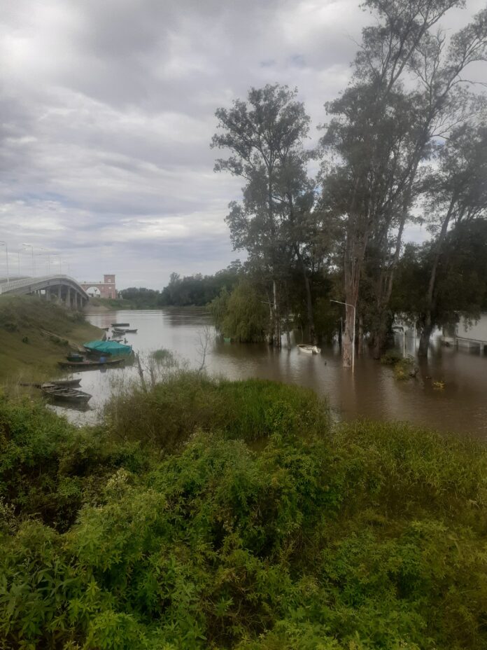creciente del río uruguay1