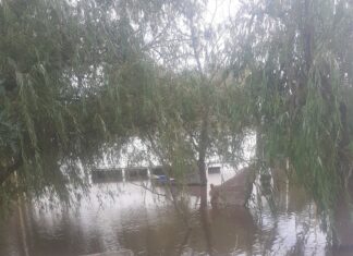 La altura del río Uruguay se encuentra en los 6,65 metros