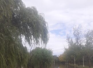 Creciente: Seis personas ya debieron abandonar sus hogares