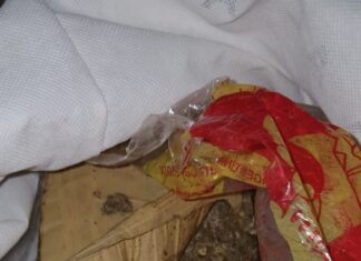 Operativo de División Toxicología de La Paz: secuestran ladrillo de marihuana en Bovril