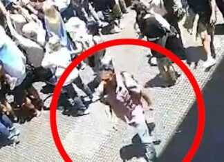 Condenaron a tres años y medio de prisión a Gastón Mercanzini por intento de agresión a Milei