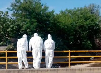 Perros encontraron muerto en un basural a un recién nacido
