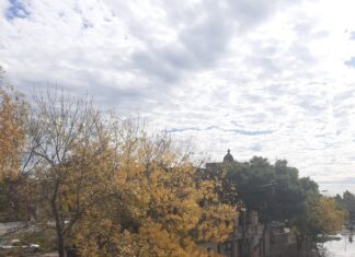 El número de familias afectadas por la creciente asciende a 29