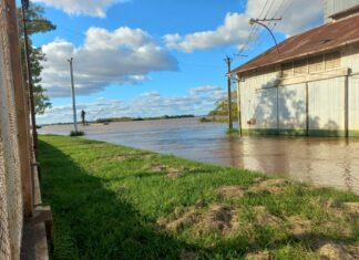 Se registra un leve descenso del río frente al Puerto