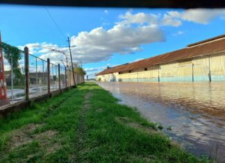 Descienden las aguas frente a las costas uruguayenses