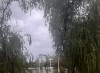 Tras los 90 milímetros caídos, el río Uruguay ya superó los 6,10 metros