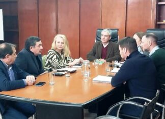 EMERGENCIA ALIMENTARIA. Senadores exigen convocar la Mesa de Diálogo Social