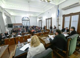 MEDIA SANCIÓN. Una ley para frenar apuestas on line en jóvenes