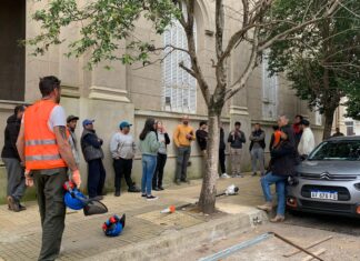 Personal de Espacios Verdes se capacitó en poda del arbolado ornamental